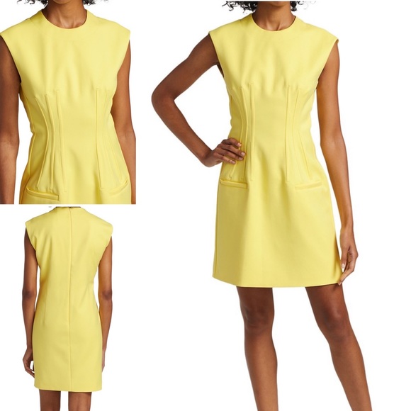 NEW! Sportmax Cinese Seamed Cotton Mini Dress